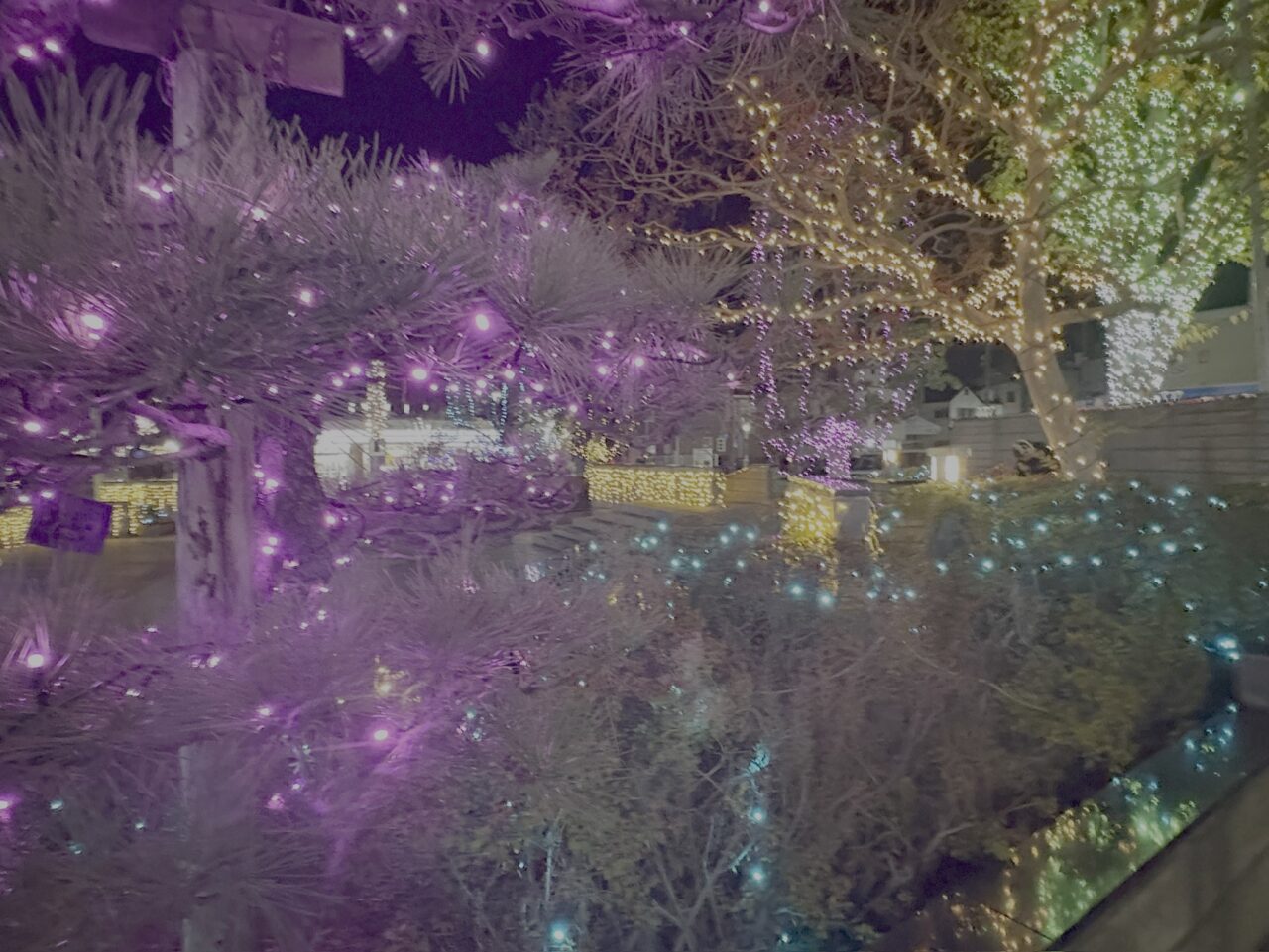 2025年11月25日佐野市の駅前