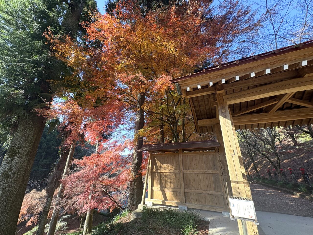 2025年11月30日佐野市の金蔵院