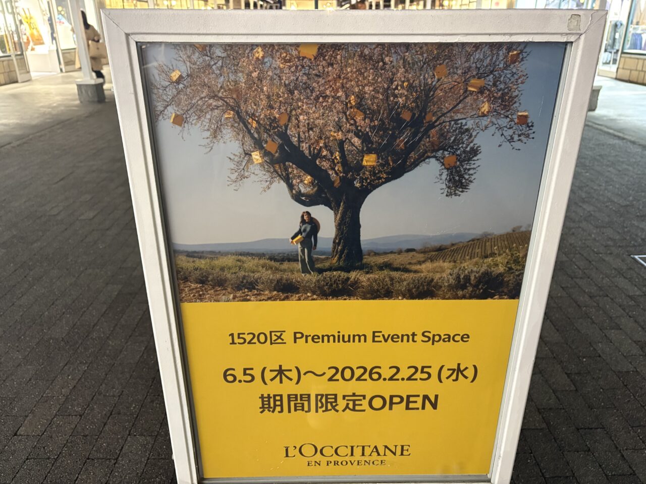 2025年12月2日佐野市のアウトレット