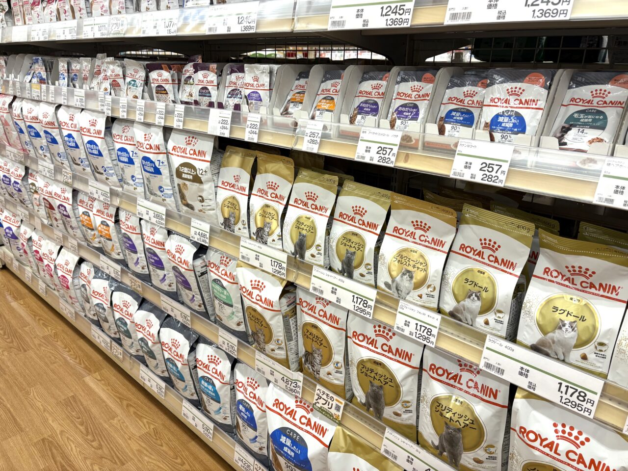 2025年12月9日佐野市のイオンペット