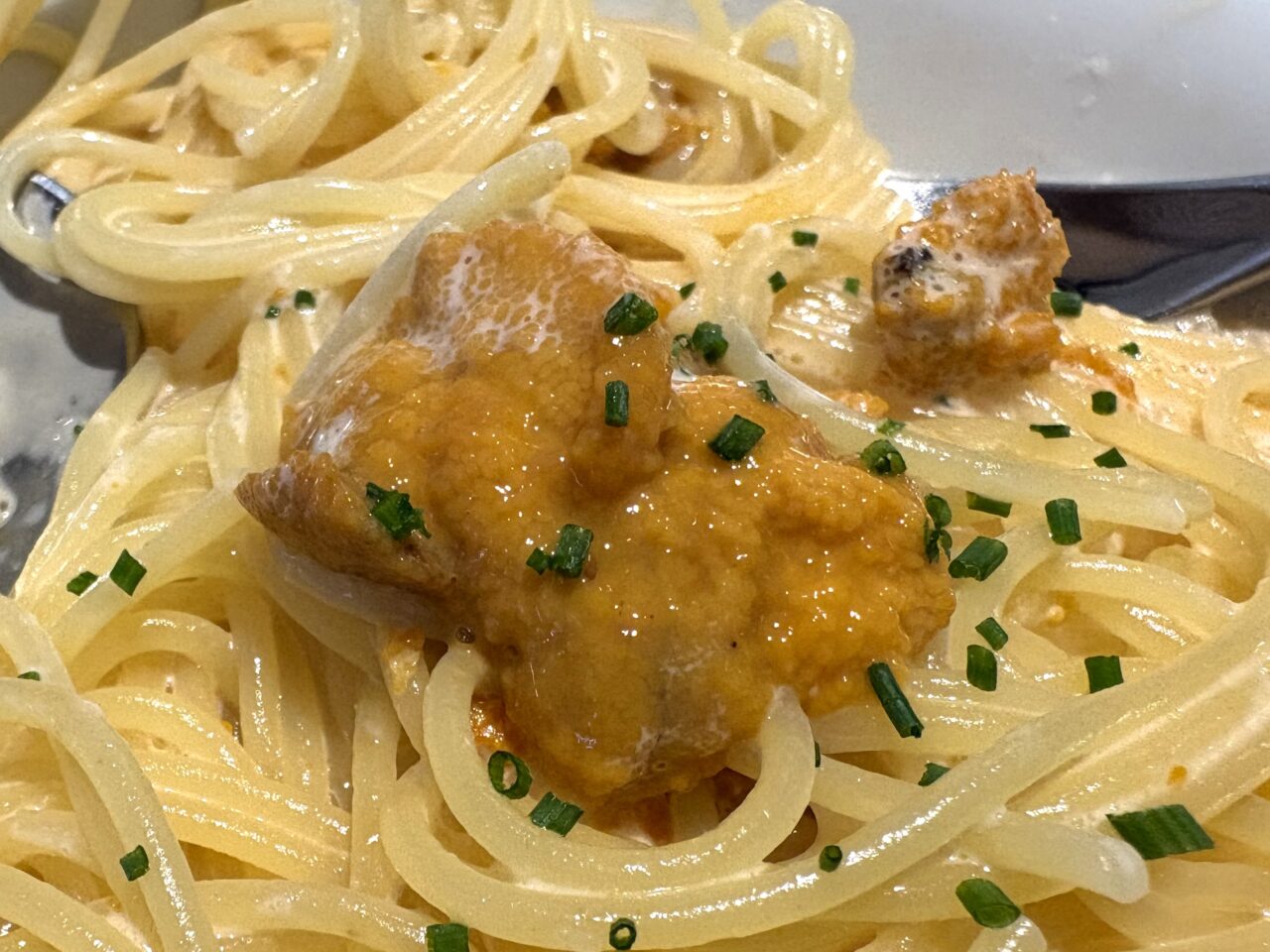 2025年12月21日佐野市のどまんなかたぬま