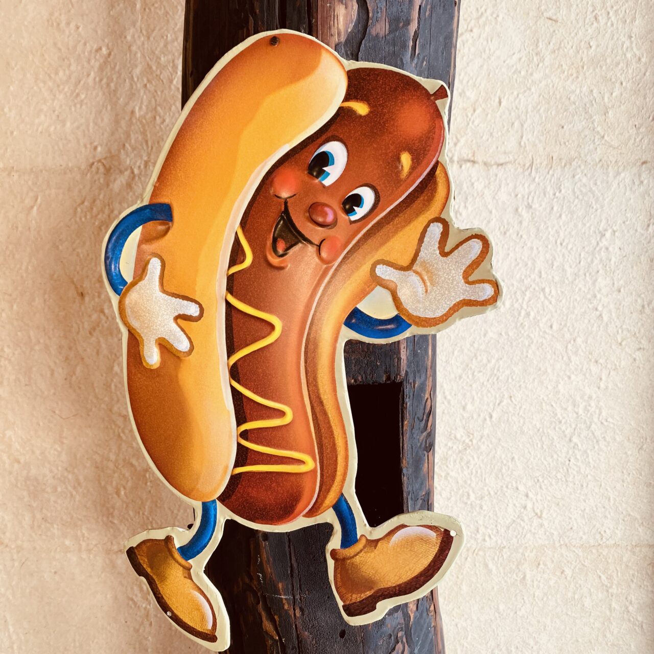 2025年12月24日佐野市のさのや