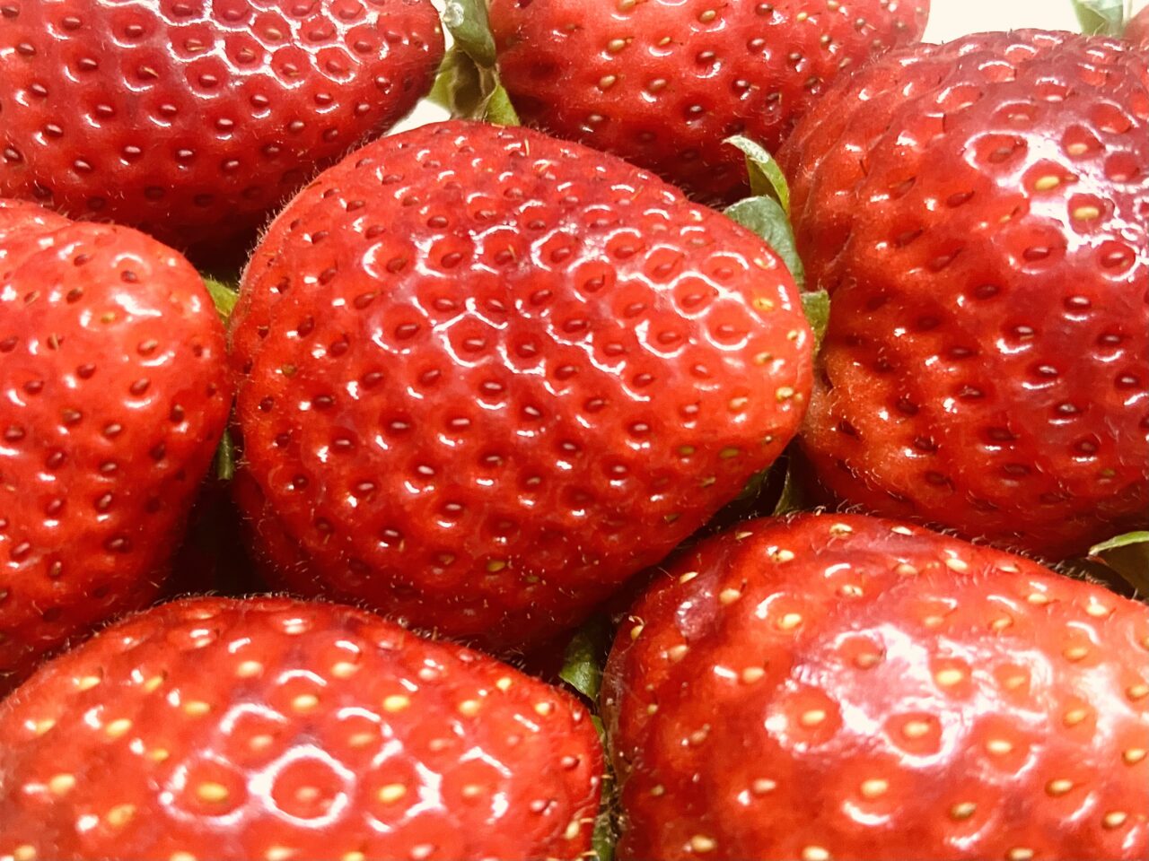 2026年1月16日佐野市のアウトレット