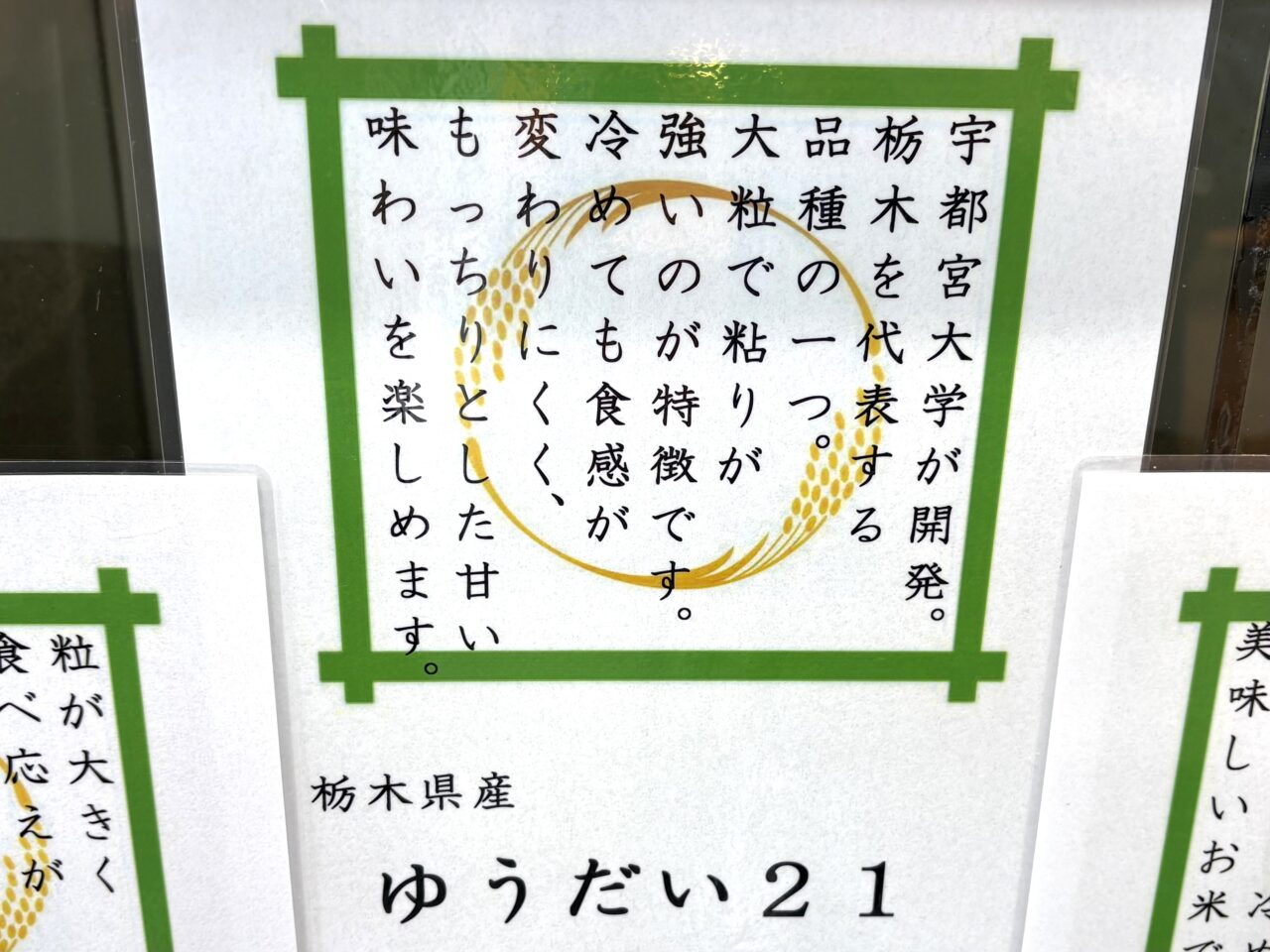 2026年1月4日佐野市のどまんなかたぬま