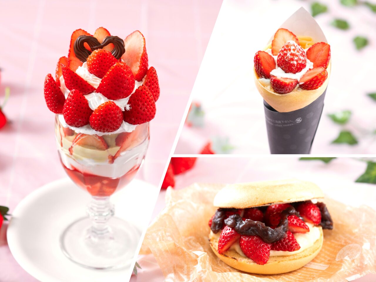 2026年1月16日佐野市のアウトレット