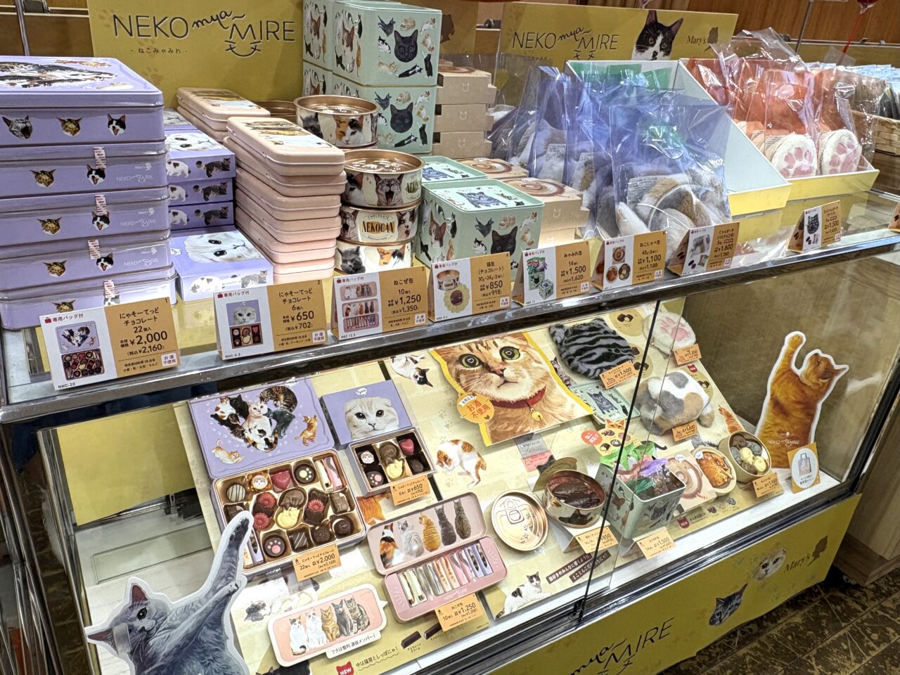 2026年1月22日佐野市のどまんなかたぬま