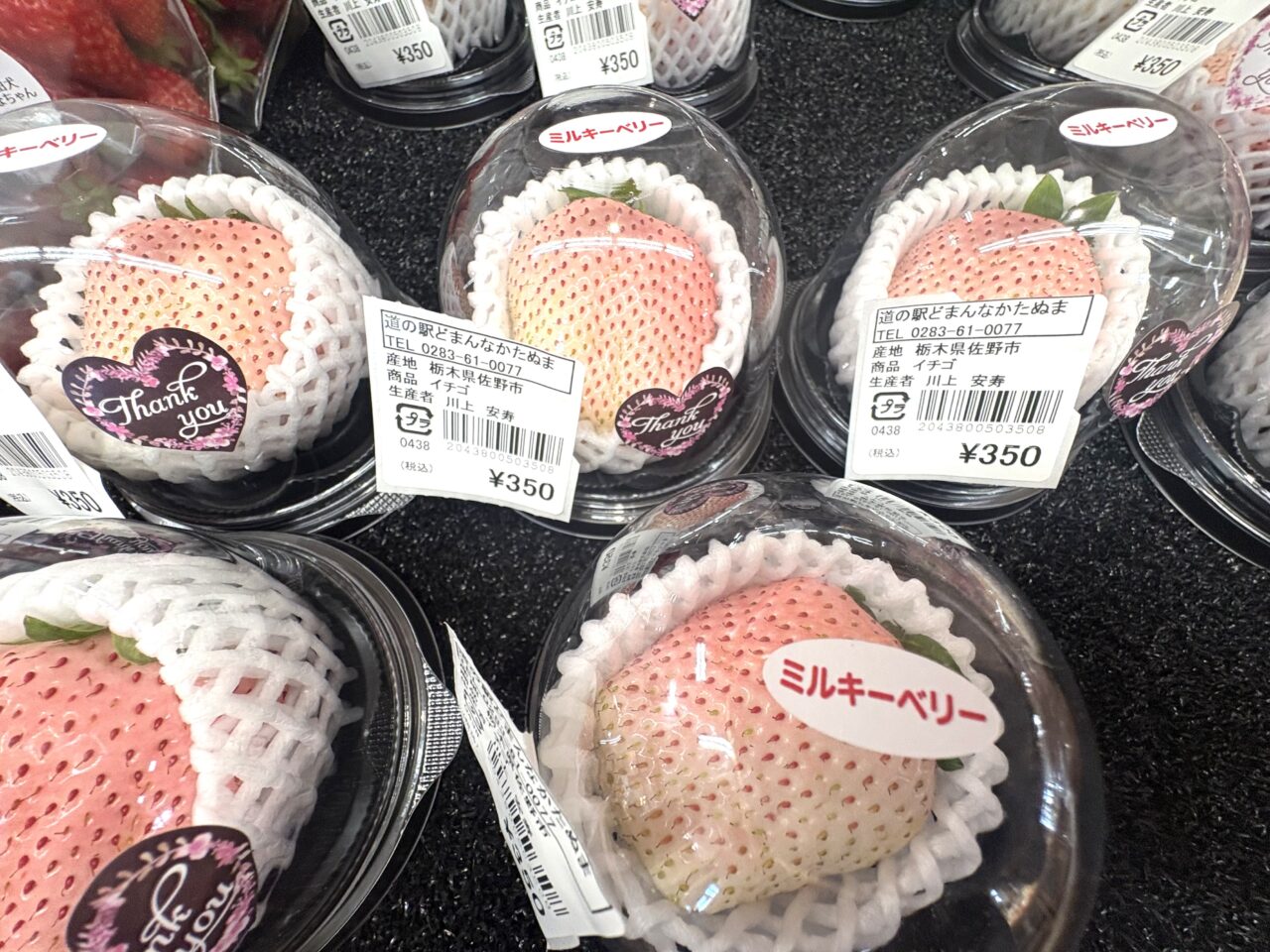 2026年2月11日佐野市のどまんなかたぬま