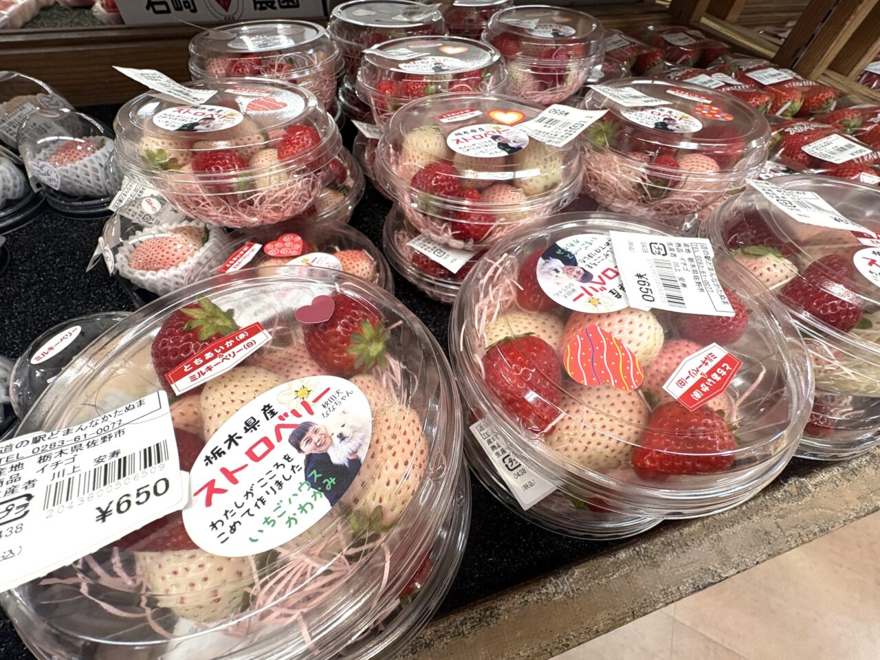 2026年2月11日佐野市のどまんなかたぬま