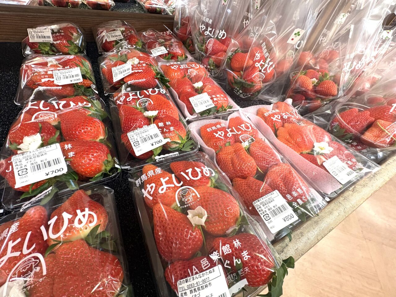 2026年2月11日佐野市のどまんなかたぬま