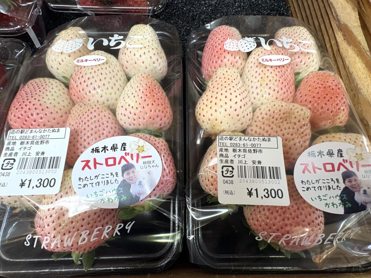 2026年2月11日佐野市のどまんなかたぬま