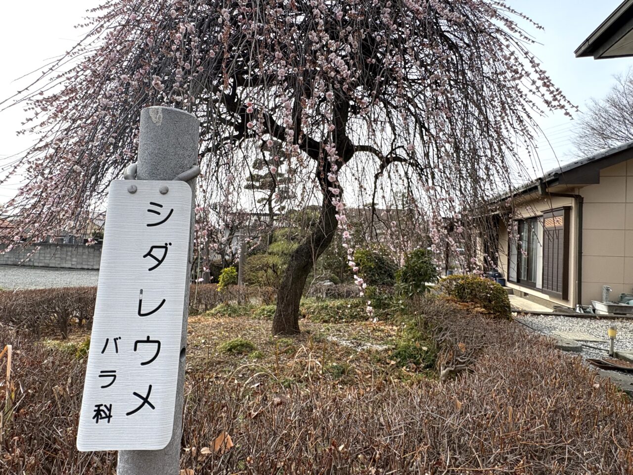 2026年3月2日佐野市の天満宮
