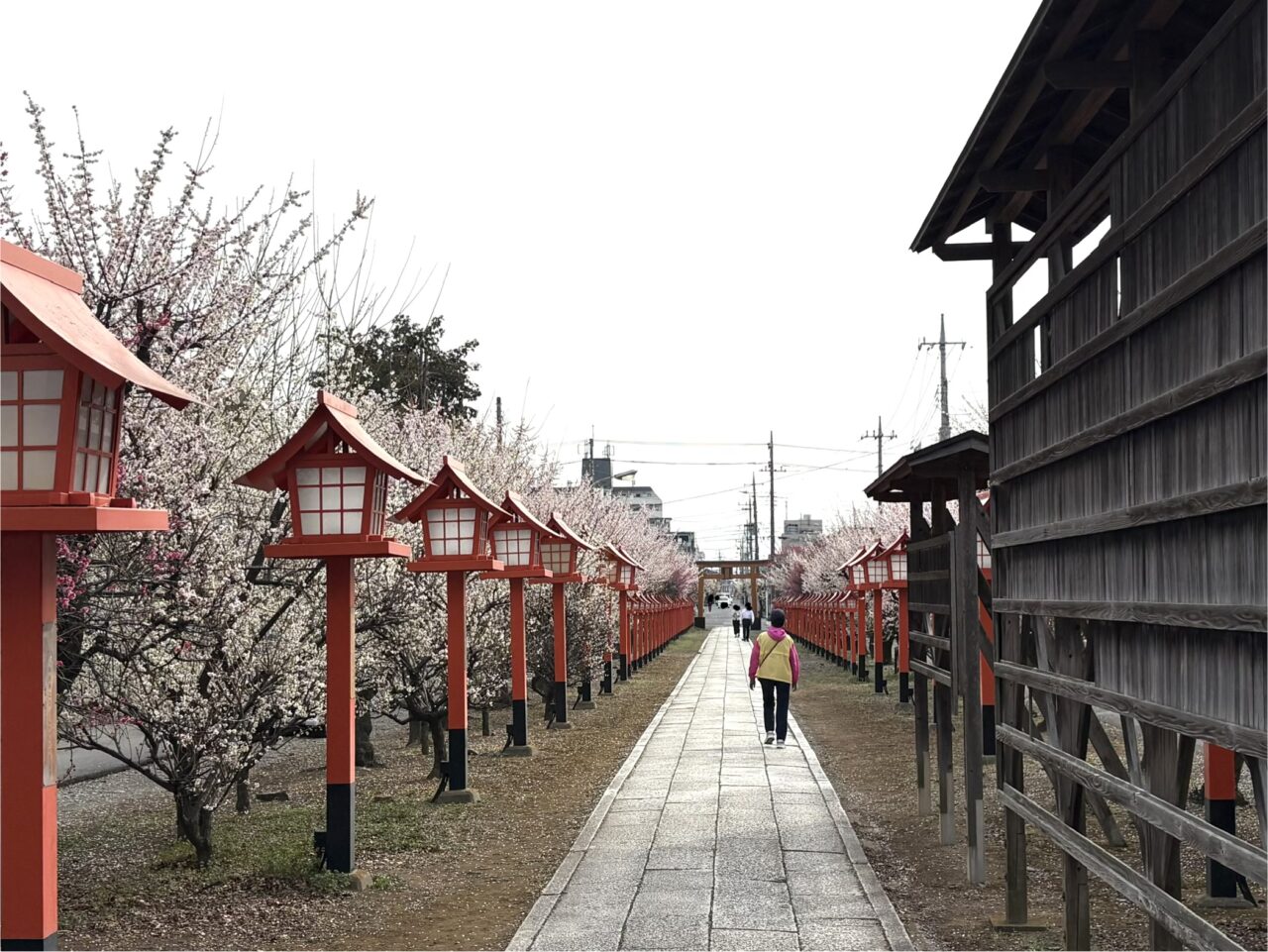 2026年3月2日佐野市の天満宮