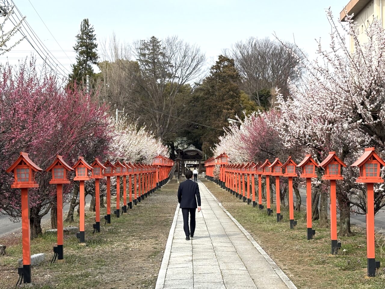 2026年3月2日佐野市の天満宮