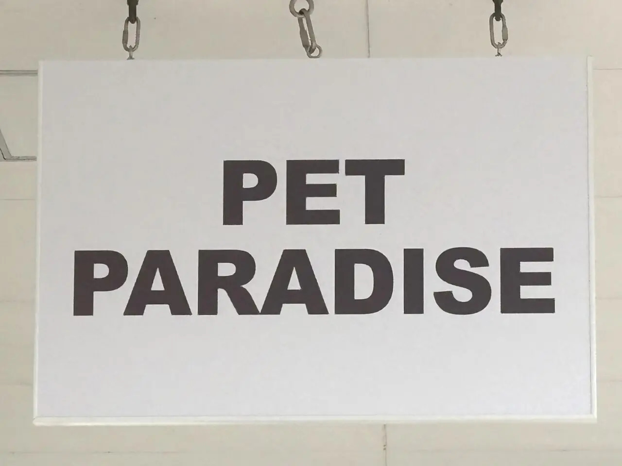 2026年3月6日佐野市のアウトレット