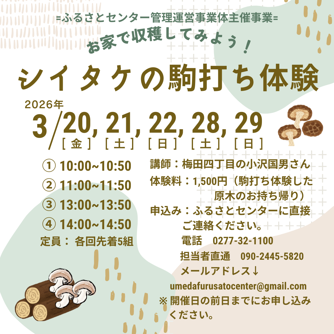 2026年3月13日足利市佐野市のきのこ