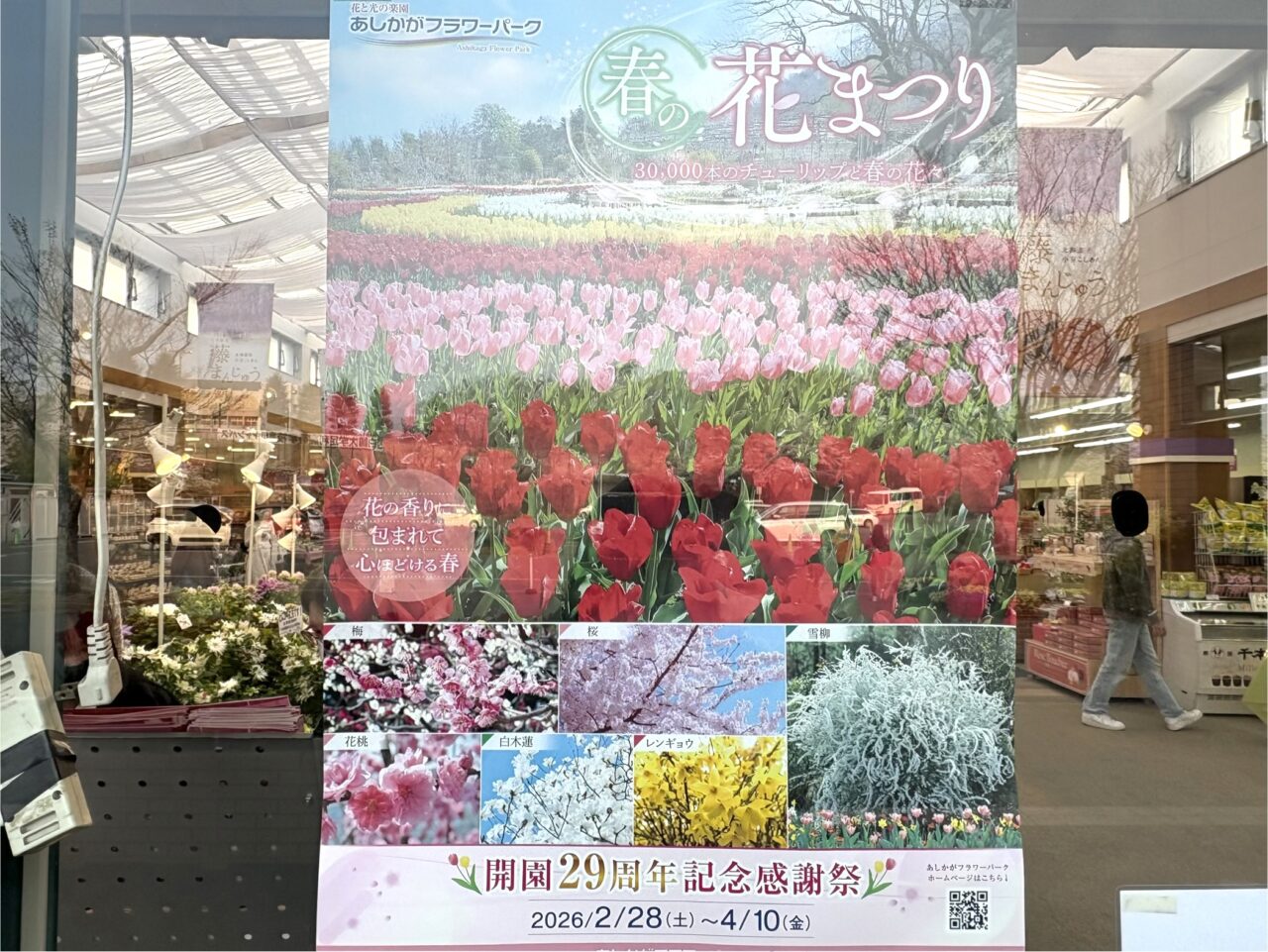 2026年3月30日足利市のフラワーパーク