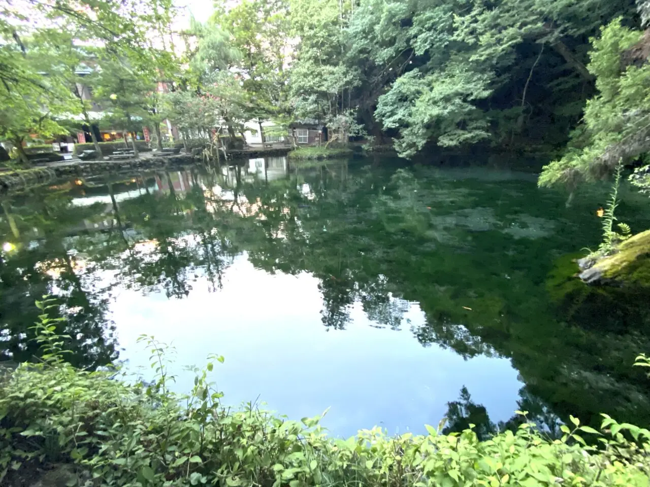 2026年4月15日佐野市の音楽祭