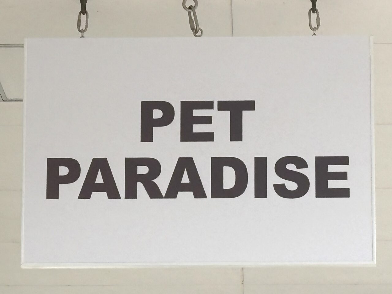 2026年4月10日佐野市のアウトレット