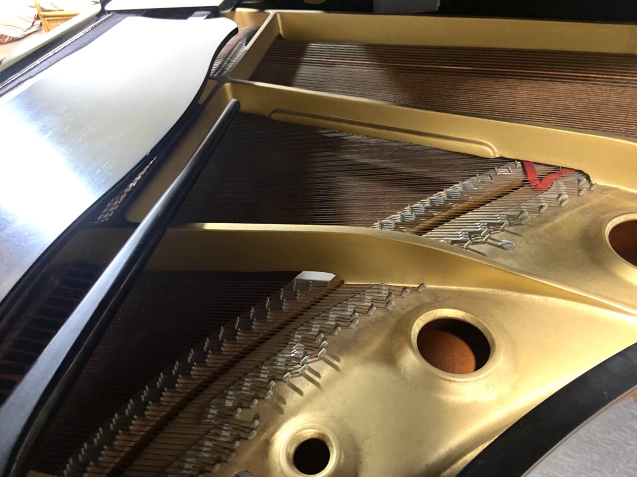 2026年4月4日佐野市の八千代コンサート