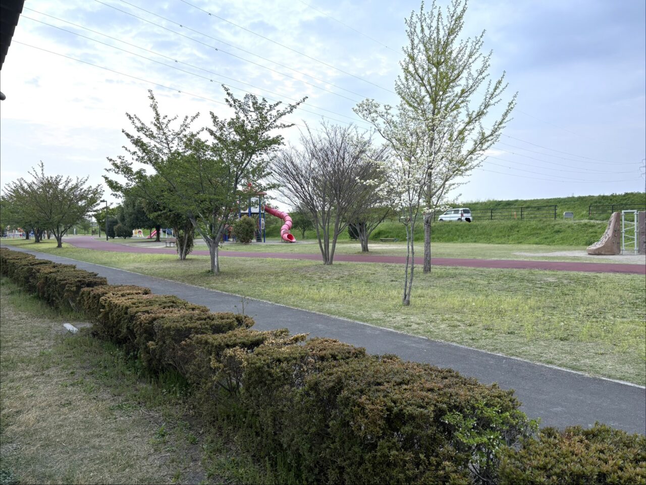 2026年5月22日足利市の公園